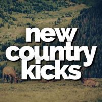 VA - New Country Kicks (2024) MP3