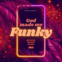 VA - God Made Me Funky (Groovy House Tunes), Vol. 2 (2024) MP3