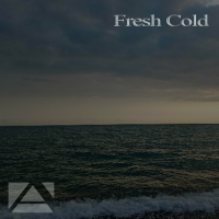 VA - Fresh Cold (2024) MP3