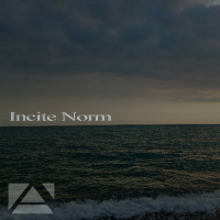 VA - Incite Norm (2024) MP3