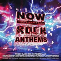 VA - NOW That's What I Call Rock Anthems [4CD] (2024) MP3