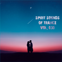 VA - Spirit Sounds Of Trance [30] [Extended Mixes] (2024) MP3
