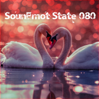 VA - SounEmot State [80] (2024) MP3