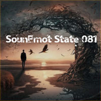 VA - SounEmot State [81] (2024) MP3