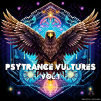 VA - Psytrance Vultures (2024) MP3