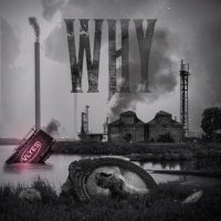 Vlyes - Why (2024) MP3