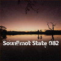 VA - SounEmot State [82] (2024) MP3