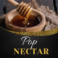 VA - Pop Nectar (2024) MP3
