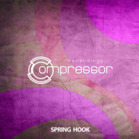 VA - Spring Hook (2024) MP3