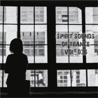 VA - Spirit Sounds of Trance [36] (2024) MP3