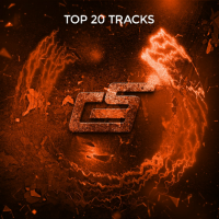 VA - Top 20 Tracks (2024) MP3