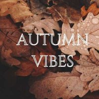 VA - Autumn Vibes (2024) MP3