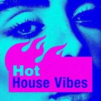 VA - Hot House Vibes (2024) MP3