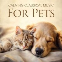 VA - Calming Classical Music For Pets (2024) MP3