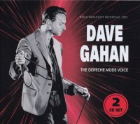 Dave Gahan - The Depeche Mode Voice (2 CD) (2024) MP3