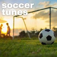 VA - Soccer Tunes (2024) MP3