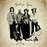 Steeleye Span - Live At The Bottom Line, 1974 (2024) MP3