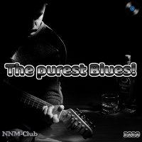 Various Artists - The purest Blues (2020) MP3