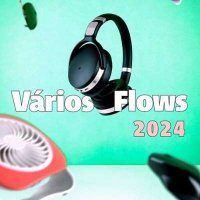 VA - V&#225;rios Flows (2024) MP3