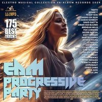 VA - EDM Progressive Party (2024) MP3