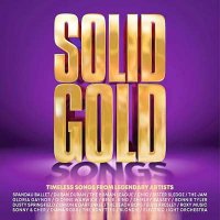 VA - Solid Gold Songs (2024) MP3