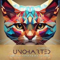 VA - Uncharted Vol.30 (2024) MP3