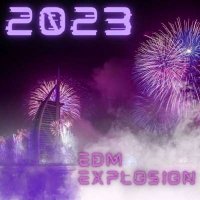 VA - 2023 - EDM Explosion (2024) MP3