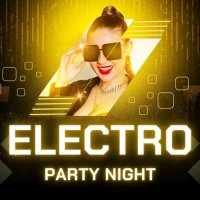 VA - Electro - Party Night (2024) MP3