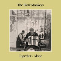 The Blow Monkeys - Together/Alone (2024) MP3