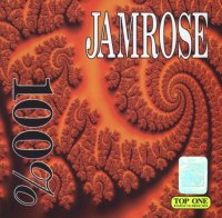Jamrose - 100% (1995) MP3