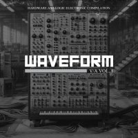 VA - WAVEFORM vol.1 (2024) MP3