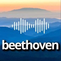 VA - Beethoven (2024) MP3