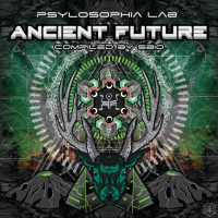 VA - Ancient Future (2019) MP3