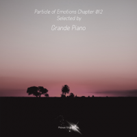 VA - Particle of Emotions [12] (2022) MP3