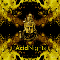 VA - Acid Nights (2024) MP3