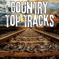 VA - Country Top Tracks (2024) MP3