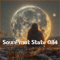 VA - SounEmot State [84] (2024) MP3