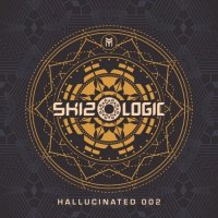 Skizologic - Hallucinated 002 (2024) MP3