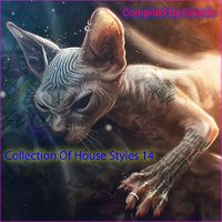 VA - Collection Of House Styles 14 [Compiled by tokarilo] (2024) MP3
