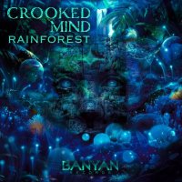 Crooked Mind - Rainforest (2024) MP3