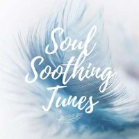 VA - Soul Soothing Tunes (2024) MP3