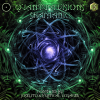 VA - Quantum Visions Shamanic (2024) MP3