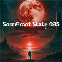 VA - SounEmot State [85] (2024) MP3