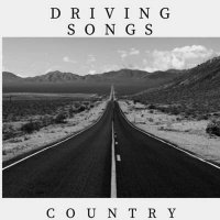 VA - Driving Songs Country (2024) MP3