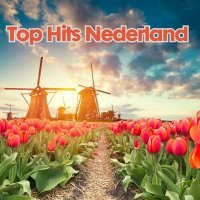 VA - Top Hits Nederland (2024) MP3