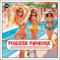 VA - Pool Paradise - Compiled By CN Williams (2024) MP3