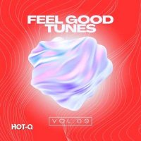 VA - Feel Good Tunes 009 (2024) MP3
