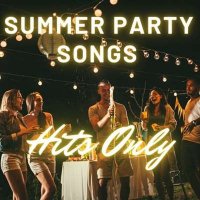 VA - Summer Party Songs Hits Only (2024) MP3