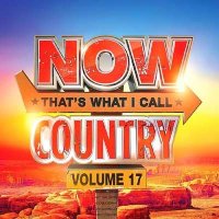 VA - NOW That's What I Call Country Vol. 17 (2024) MP3