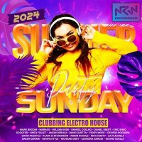 VA - Summer Sunday EDM Party (2024) MP3